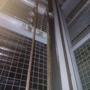 Sửa chữa thang máy nâng hàng cho các kcn 5 300x300 - Sửa chữa thang máy nâng hàng cho các kcn