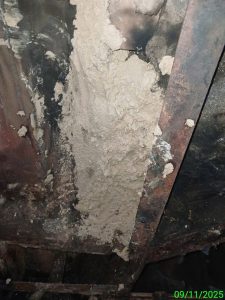 Ve sinh lo hoi 9 225x300 - Vệ sinh l&ograve; hơi