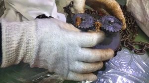 Bao duong palang xich 1 300x168 - Bảo dưỡng palang x&iacute;ch