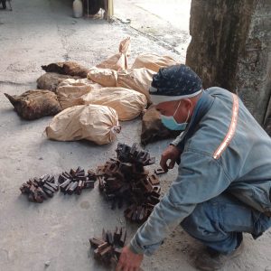 Giao hang ray 2 300x300 - Giao h&agrave;ng ray