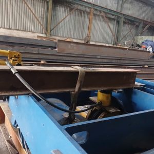 Sua chua palang 10 tan 3 300x300 - Sửa chữa palang 10 tấn