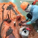 Bảo dưỡng palang